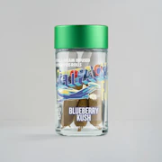 Jetpacks - FJ-3 Blueberry Kush - Infused Prerolls - 5 x .6g