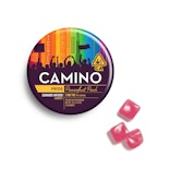 Passionfruit Punch | 100mg Gummies | Camino