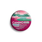 Camino - Uplifting Watermelon Spritz Sour - Gummy - 10 x 10mg
