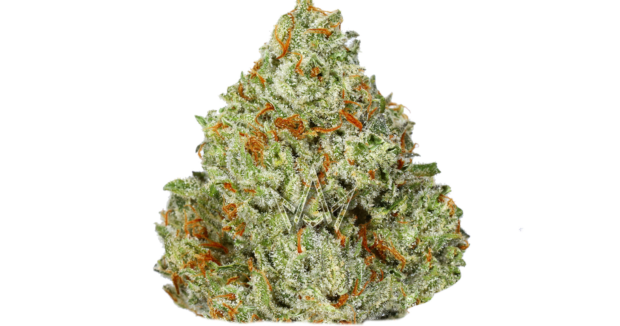 M.Con No.7 - 3.5g