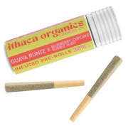 Ithaca Organics - Guava Runtz - PreRolls - 2 x 0.75g