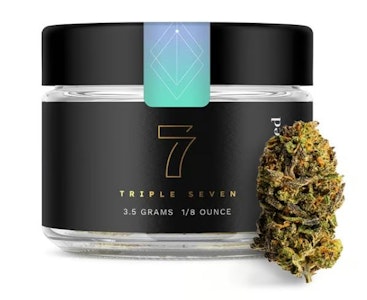 TRIPLE SEVEN - Peanut Butter Breath Flower - 3.5g - PTC