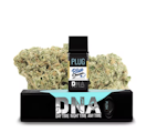 Plug and Play DNA 1g Blue Dream 