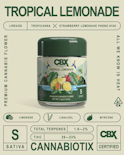 Tropical Lemonade (S) | 3.5g Jar | Cannabiotix
