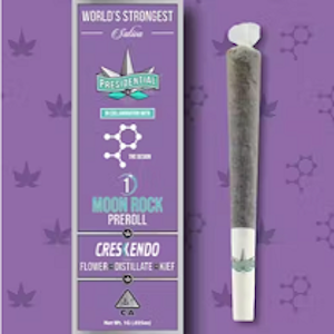PRESIDENTIAL - Presidential Infused Preroll 1g Crescendo