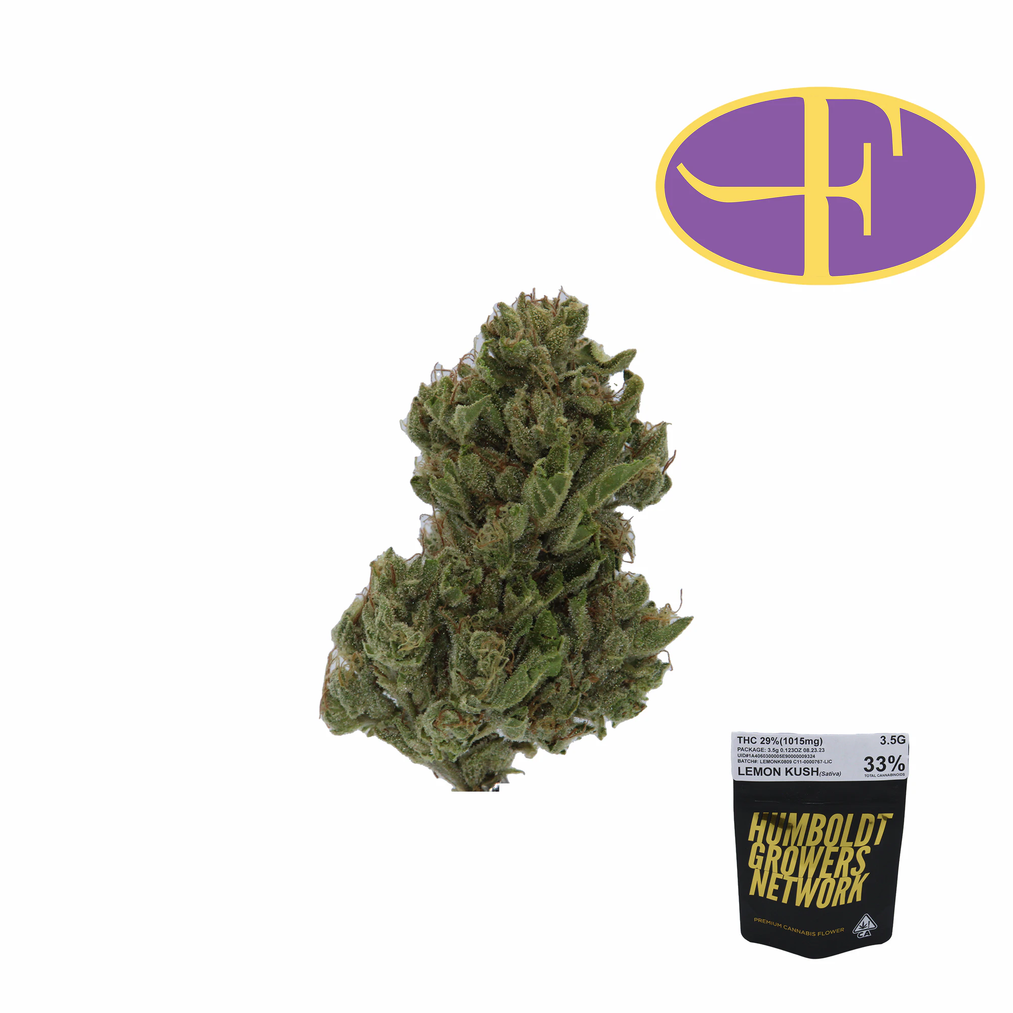 Humboldt Growers Network - Lemon Kush Main Image