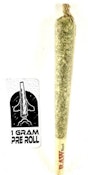 P37 - Bluntz  - 1G - PRE ROLL