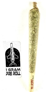 PROHIBITION 37 - P37 - Bluntz  - 1G - PRE ROLL