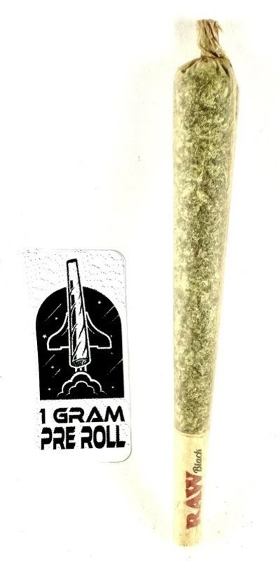 PROHIBITION 37 - P37 - Gorilla Works - 1 G - PRE ROLL Main Image