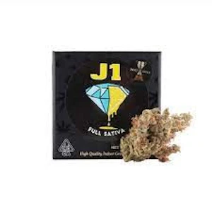 Team Elite Genetics - TEAM ELITE GENETICS - Flower - J1 - 3.5G