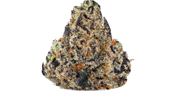 Traditional - Pink Gelato - 3.5g