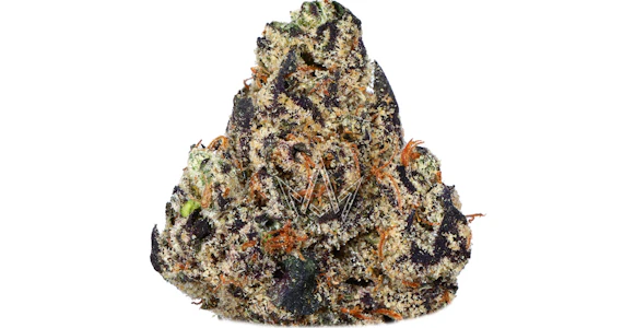 Traditional - Traditional - Pink Gelato - 3.5g