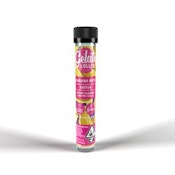 Gelato - Lolli - Pineapple Sorbet - Infused Preroll - 1.2g