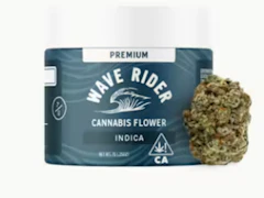 Wave Rider 7g Blueberry Creme