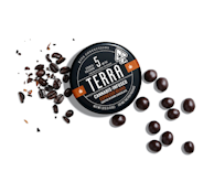 Kiva Terra Bites Dark Chocolate 100mg Espresso Beans 