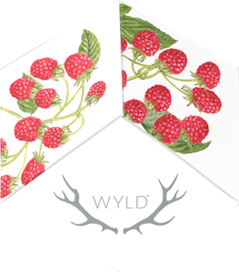 WYLD - WYLD Raspberry Sativa Gummies 100mg
