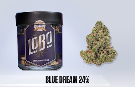 Lobo - Lobo - Blue Dream - 3.5g