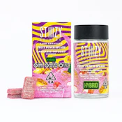 Fruit Punch 100mg Gummies - STIIIZY