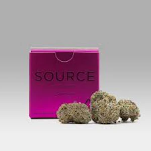 Source - Quest - 3.5g (SH) - Source