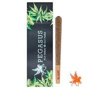 SUNDAY BRUNCH | 1G PREROLL