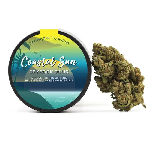 Coastal Sun - Spyrock Sour (Eighth)  Main Image