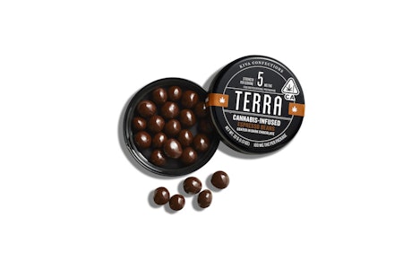 Dark Chocolate Espresso Beans - 100mg - Terra