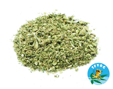 Instajane - SFVOG/Fatso Shake/14g/(I)