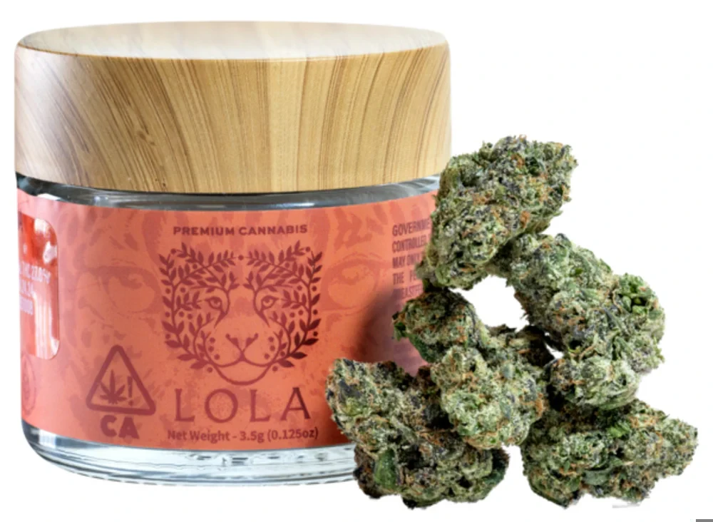 Lola Lola™ - Lola - Flower - Mystic Maple - 3.5G Main Image