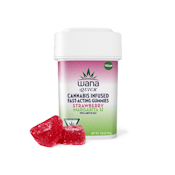 Strawberry Margarita 1:1 - Wana Quick - Gummies - 100mg