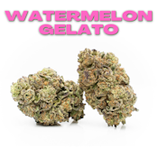 Watermelon Gelato 8th