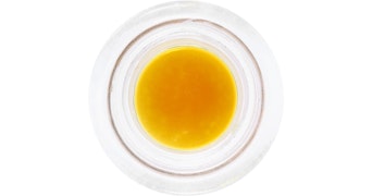 Humboldt Terp Council - ZGP Live Resin - 1g