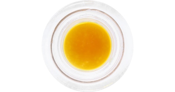 HUMBOLDT TERP COUNCIL - Humboldt Terp Council - ZGP Live Resin - 1g