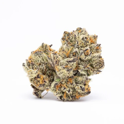 Select - Blue Dream Plant