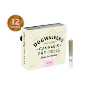 Dogwalkers | Infused 12pk (.45g) | Rose Gold Runtz | 5.4g