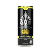 Heavy Hitters | HVY 25 Marg Beverage 12oz Can (25mg THC)