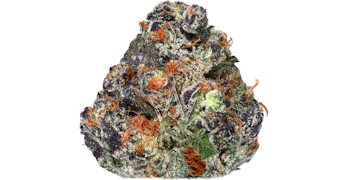 Phases - Snoozeberry Dreamcatcher - 3.5g