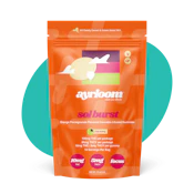 Ayrloom - Sol Burst 2:1 10 Pack Gummies