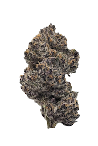 REUP FARMS - Gary Payton x Runtz, Indoor