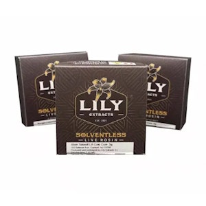 LILY EXTRACTS - Lily Extracts | G13 | 1g Bubble Hash