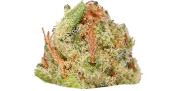 Left Coast - Optimus Prime Smalls - 3.5g