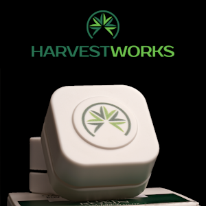 HarvestWorks Farm - Harvest Works | Super Boof | Cold Cure Rosin | 1g