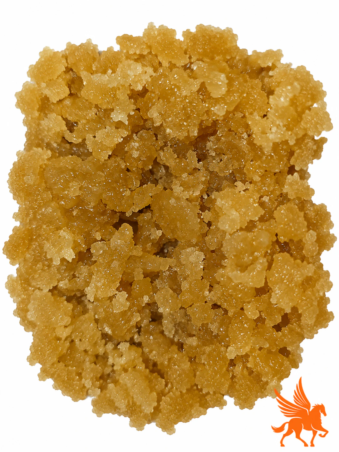 Evo Pharms - BULK | CONCENTRATE | MAPLE NECTAR - 1G Main Image