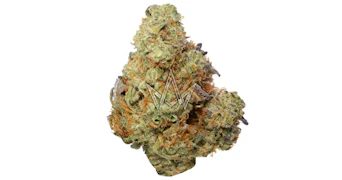 Pearl Pharma - Sin Mint Cookies - 3.5g