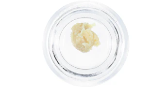 Punch Extracts - Key Lime Dulce Live Rosin Badder - 1g (Tier 4)