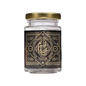 Gold Leaf - Gold Leaf | Peppermint Cookies | DOH | 3.5g