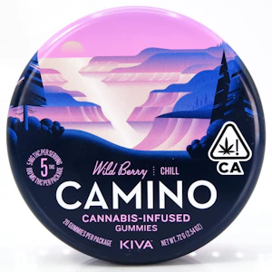 CAMINO - Wild Berry 100mg 20ct Gummies - Camino