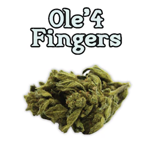 Ole'4 Fingers - TITS 14g Bag - Ole' 4 Fingers 