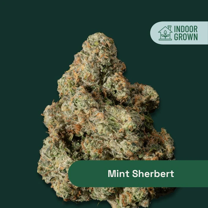 The Botanist - The Botanist | Mint Sherbert | Indica- Small Buds 14G Main Image
