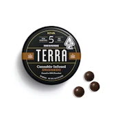 TERRA BITES - Edible - Espresso Beans - Dark Chocolate - 100MG