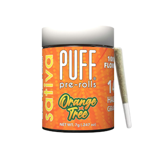PUFF - 7g Orange Tree Pre-Roll Pack (.5g - 14 pack) - Puff